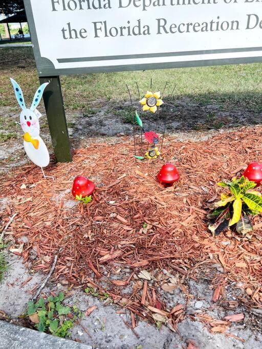 3Brdrm Home Near Downtown Orlando And Winterpark מראה חיצוני תמונה